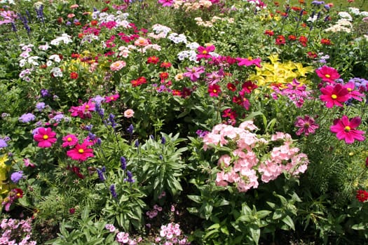 Flowerbed