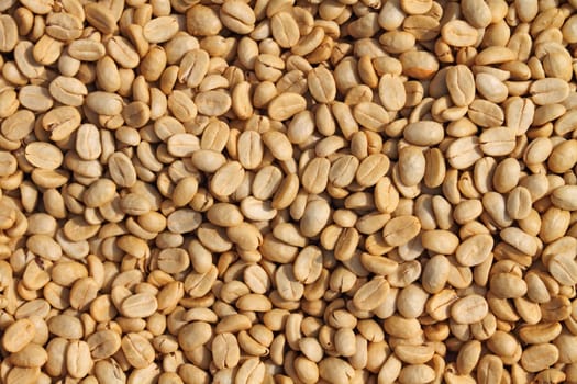 Raw coffee beans background