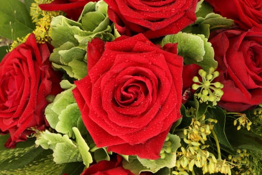 Red Roses