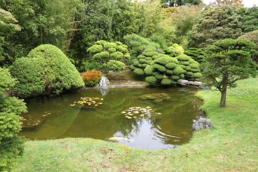 Zen garden