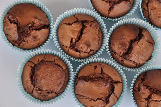 Brownie Muffins