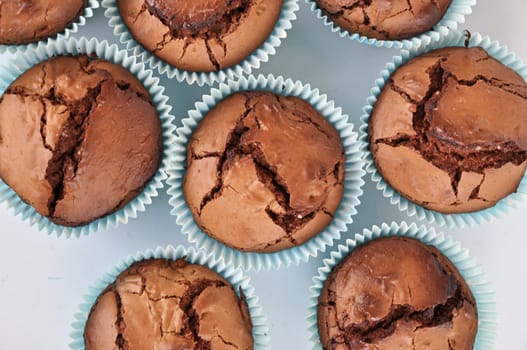 Brownie Muffins