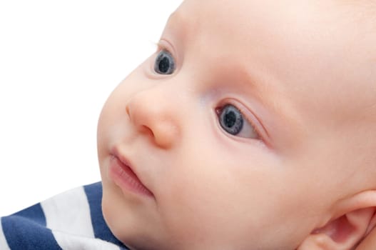 Portrait of Cute Toddler Baby
