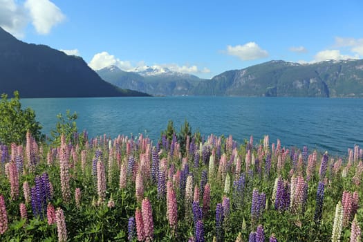 Fjord in Norway