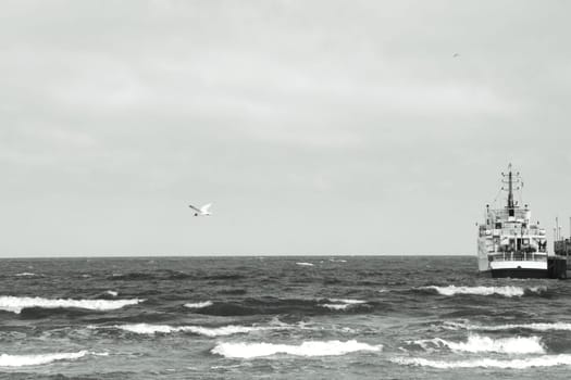 Die Ostsee im Frühling mit einer vor Anker liegenden Fähre und einer Möwe.