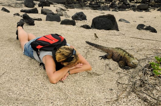 In the marine iguanas