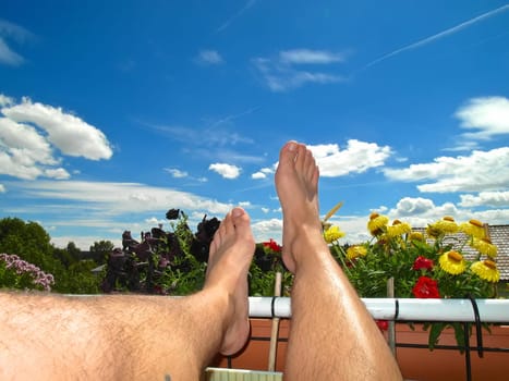 Feet pointing into the blue spring sky,the balcony boxes have been replanted,now summer can come.