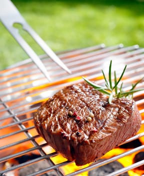 Grilled beef steak on the grilling pan outdoors