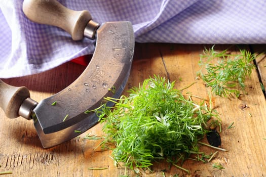 Chopping fresh dill with a curved rocker knife for use as an aromatic flavouring and seasoning in salads and cooking
