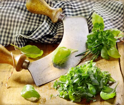 Chopping fresh basil leaves for use as a seasoning in cooking and salads using a curved two handled knife in a country kitchen