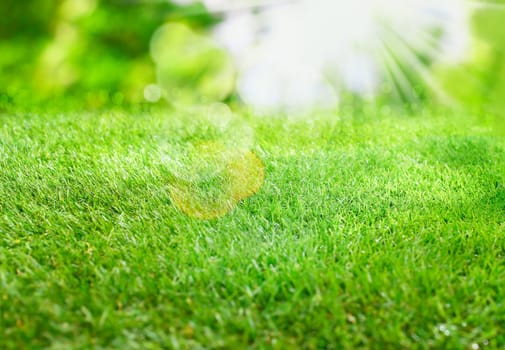 Burst of summer sunlight over lush green grass with lens flare and bokeh for a fresh spring or summer background
