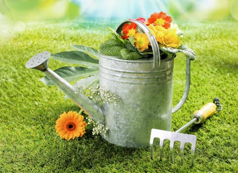 Watering can with a colourful orange gerbera daisy and summer flowers on a green lawn alongside a small fork in a summer gardening concept