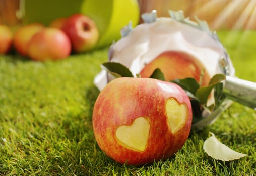 Conceptual image of a fresh ripe red apple with a pair of incised hearts in the skin lying on green grass with other harvested apples visible behind, shallow dof