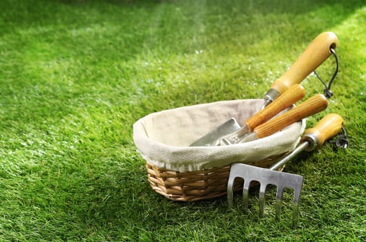 Assortment of small garden tools in a wicker basket standing on a green lawn in summer sunshine with copyspace