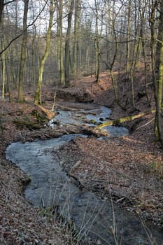 The Blutbach in the Totental (Hohenstein Nature Reserve)