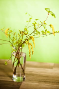 fresh branches of a birch in a glass on a table