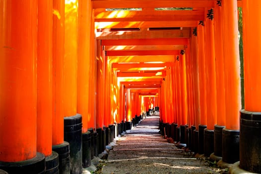 Fushimi Inari Taisha Shrine - Kyoto, Japan for adv or others purpose use