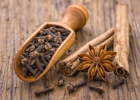 Spice scoop with cloves,star anise and cinnamon sticks