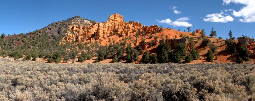Red Canyon