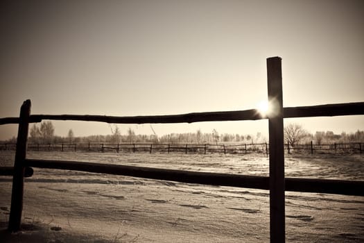 black and white old photo of the farm wooden fence in winter