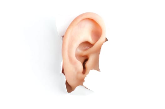 woman ear peeping out from white torn paper