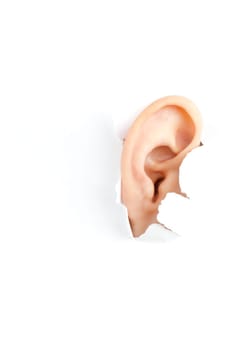 woman ear peeping out from white torn paper