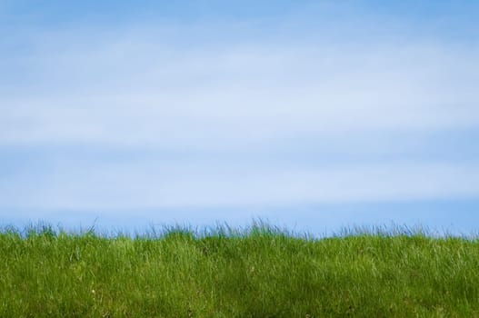 green grass field in foreground and blue cloudy sky in background with lot of copy space
