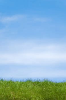 green grass field in foreground and blue cloudy sky in background with lot of copy space