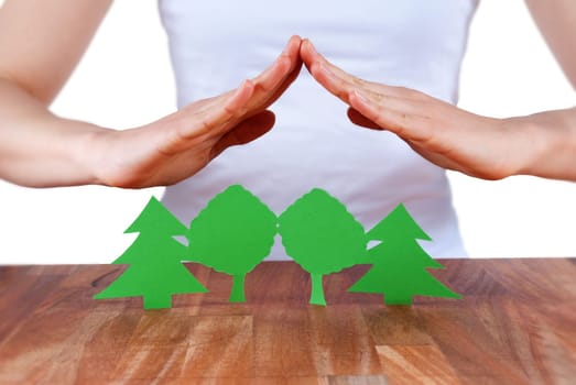 person holding its hands over a tree paper chain symbolizing environment protection or house building