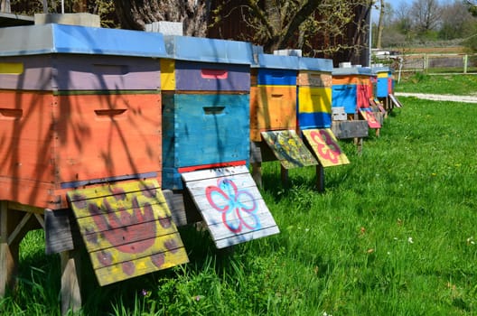 Happy beehives