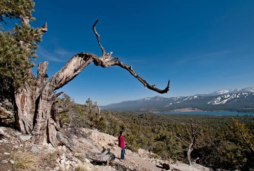 Big Bear Lake,California