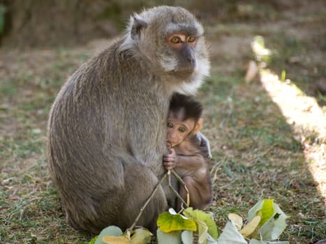 Doting love