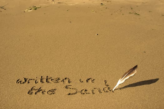 a feather used as a quill pen to write written in the sand