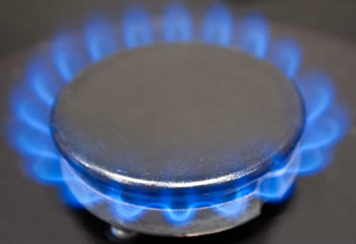 photo of the kitchen gas oven with blue flame