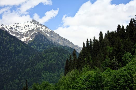 landscape with forest covered mountain in foreground and mountain peak with snow and blue sky in background