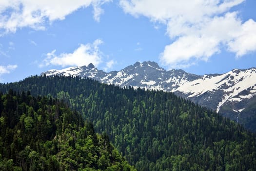 landscape with forest covered mountain in foreground and mountain peak with snow and blue sky in background