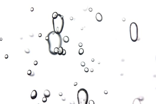 Bubbles on white background