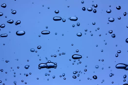 Bubbles on a blue background