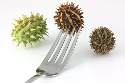 Spikey fruit on a fork