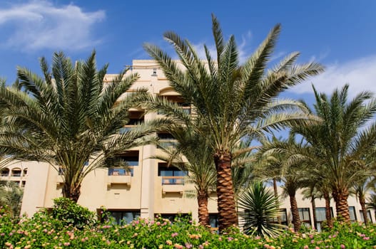 hotel building with blue cloudy sky in background and palm trees in foreground