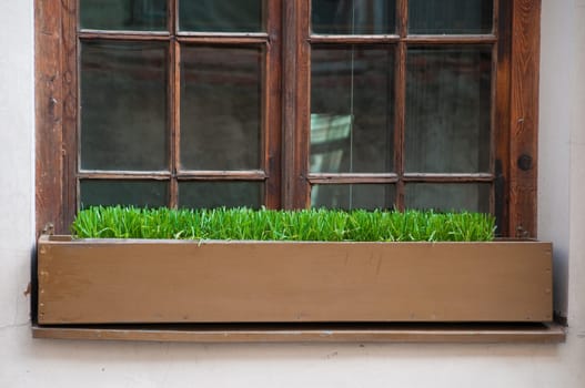beautiful old window with green grass planted in box beneath it