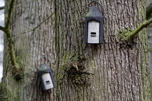 Bat box