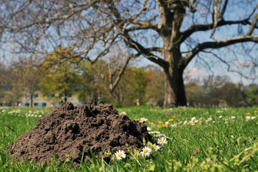 Earthwork