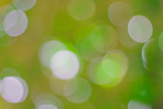 bokeh blurred out of focus background