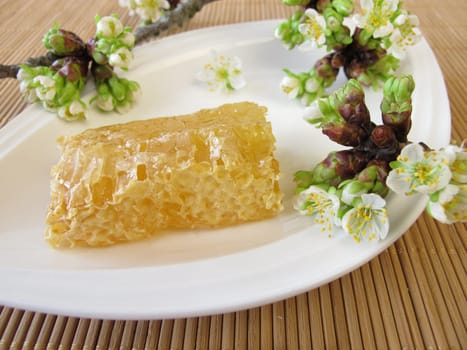 Honeycomb honey