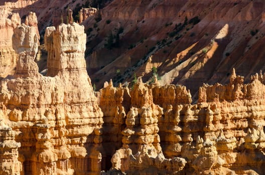 Bryce Canyon National Park in Utah in the United States of America