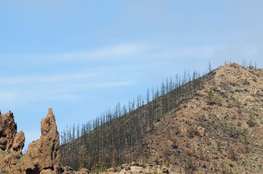 Tenerife
