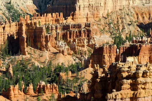 Bryce Canyon National Park in Utah in the United States of America