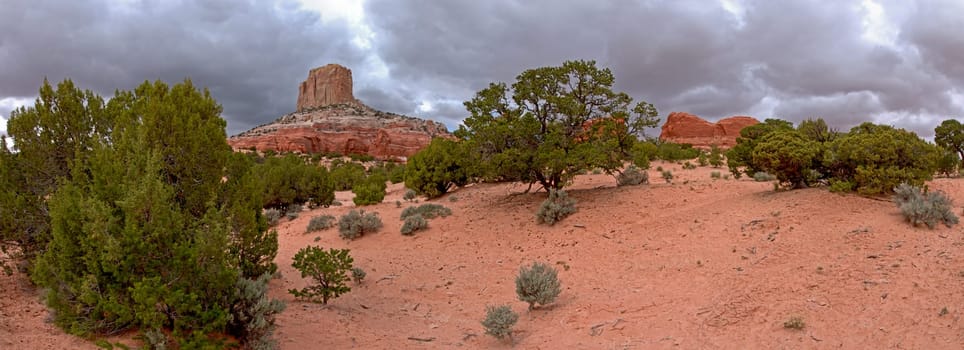 White Mesa