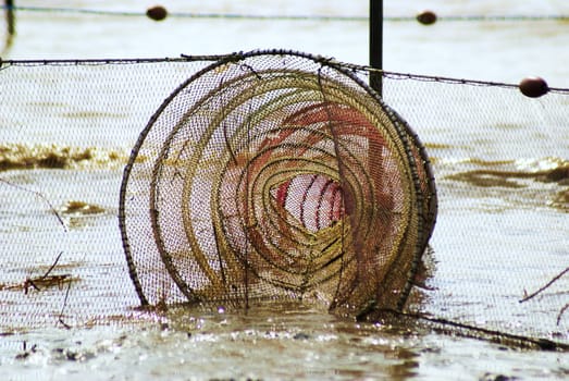 Fishing net
